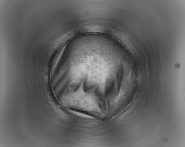 X0000090890402200708171710