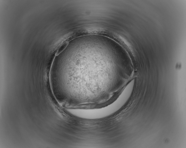 X0000090890405200708171710