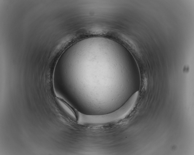 X0000090890407200708171710