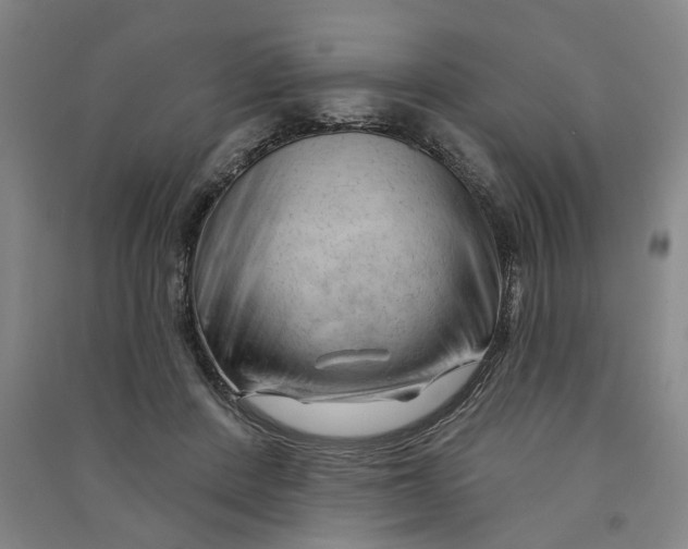 X0000090890408200708171710