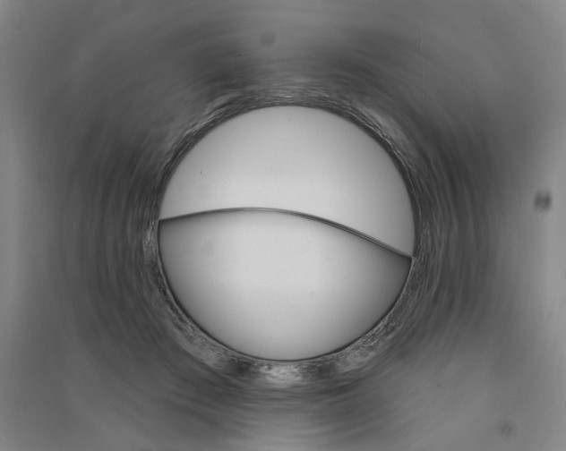 X0000090890409200708171710