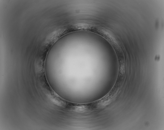 X0000090890411200708171710