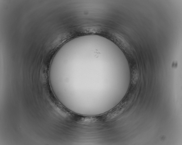 X0000090890414200708171710