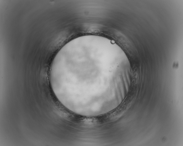 X0000090890415200708171710