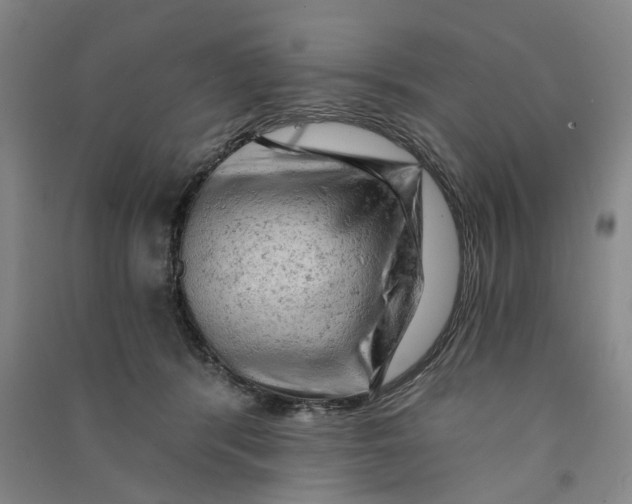 X0000090890416200708171710