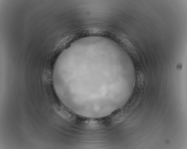 X0000090890419200708171709