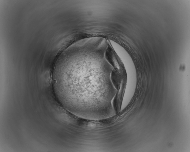 X0000090890420200708171709