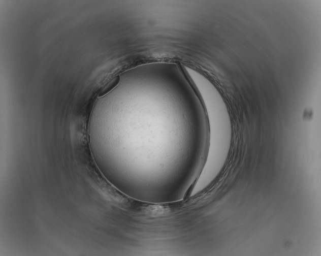 X0000090890421200708171709