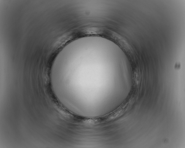 X0000090890422200708171709