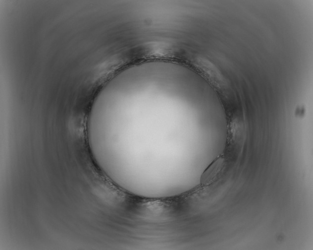 X0000090890423200708171709