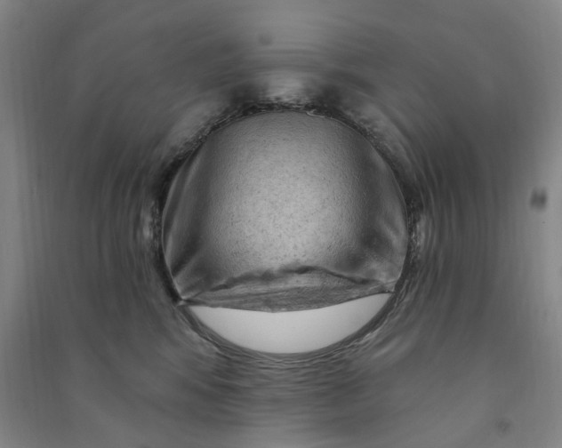 X0000090890424200708171709