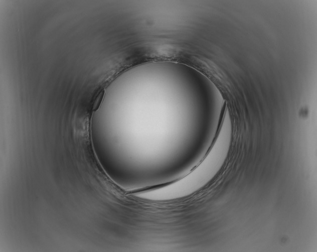 X0000090890425200708171709