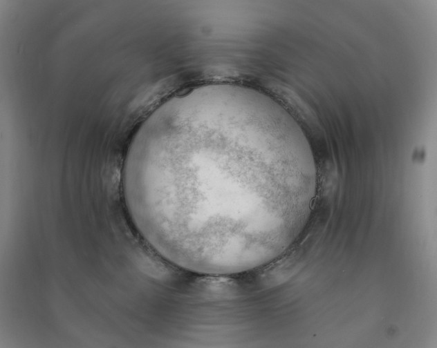 X0000090890427200708171709