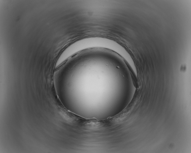 X0000090890428200708171709