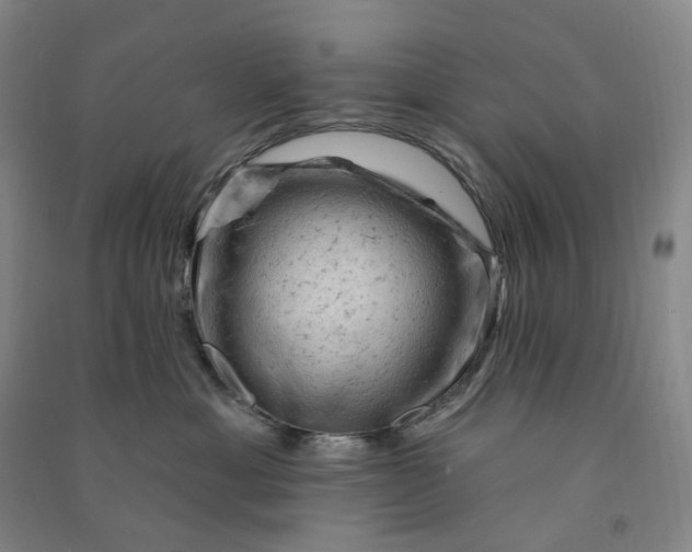 X0000090890429200708171709