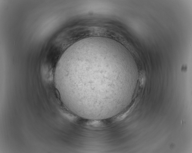 X0000090890431200708171709