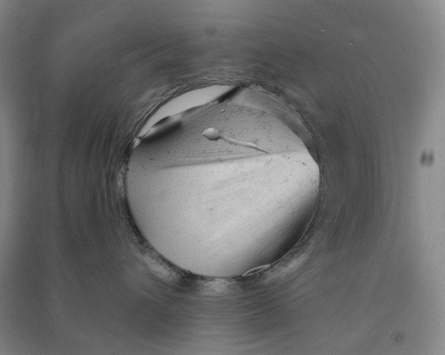 X0000090890432200708171709