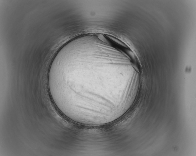 X0000090890433200708171709