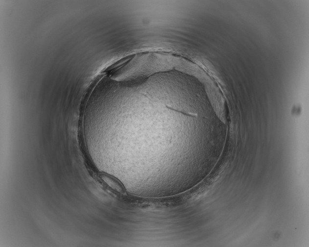 X0000090890434200708171709