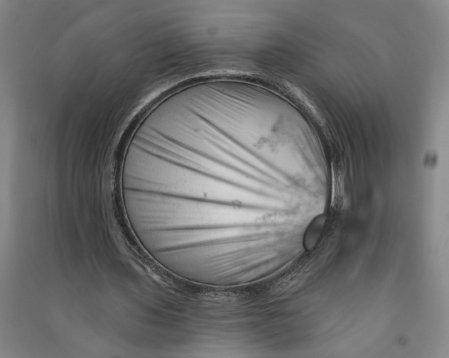 X0000090890435200708171709