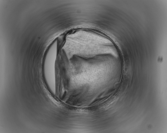 X0000090890437200708171709