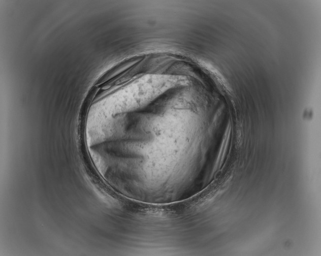 X0000090890439200708171709