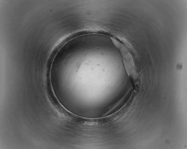 X0000090890440200708171709