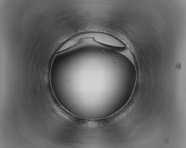 X0000090890441200708171709