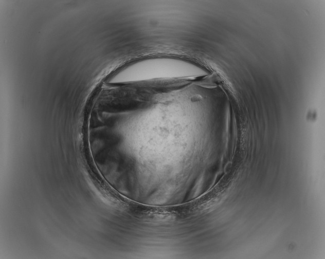 X0000090890443200708171709