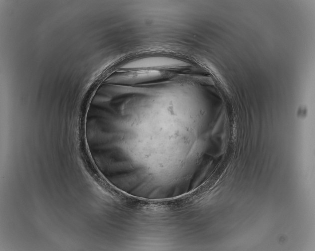 X0000090890444200708171709