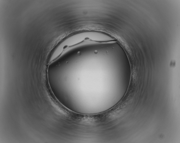 X0000090890445200708171709