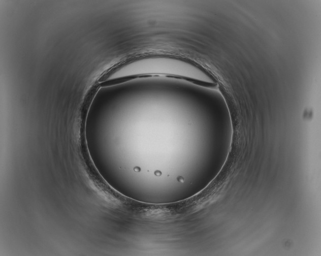 X0000090890446200708171709