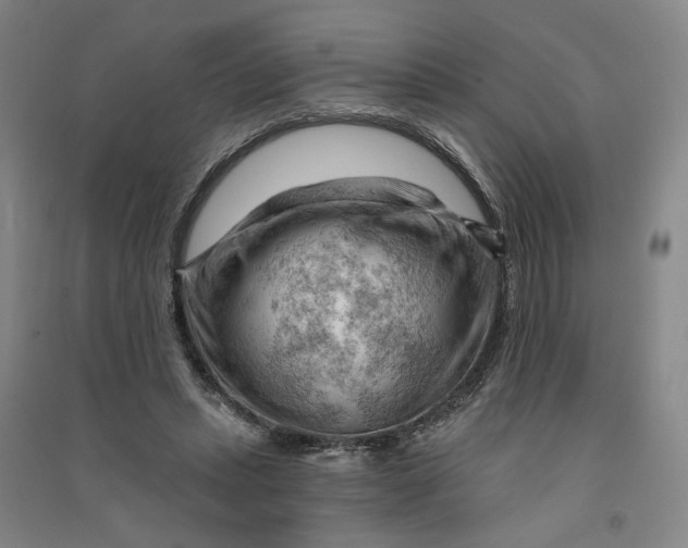 X0000090890447200708171709