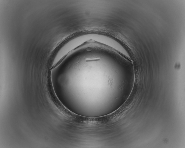 X0000090890448200708171709