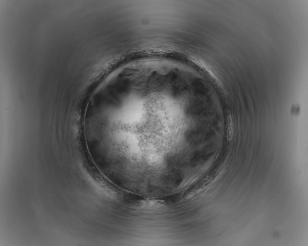 X0000090890451200708171709