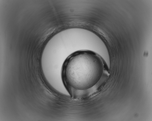 X0000090890452200708171709