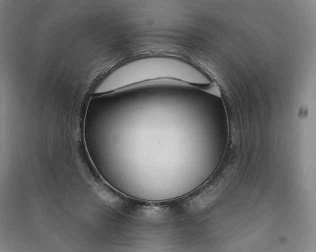 X0000090890453200708171709