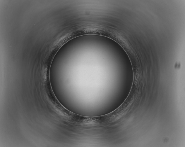 X0000090890454200708171709