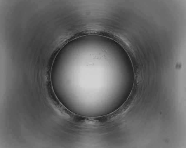 X0000090890455200708171709