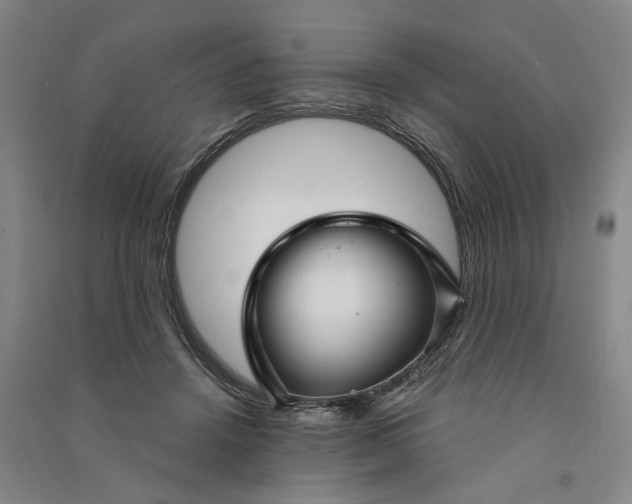 X0000090890456200708171709