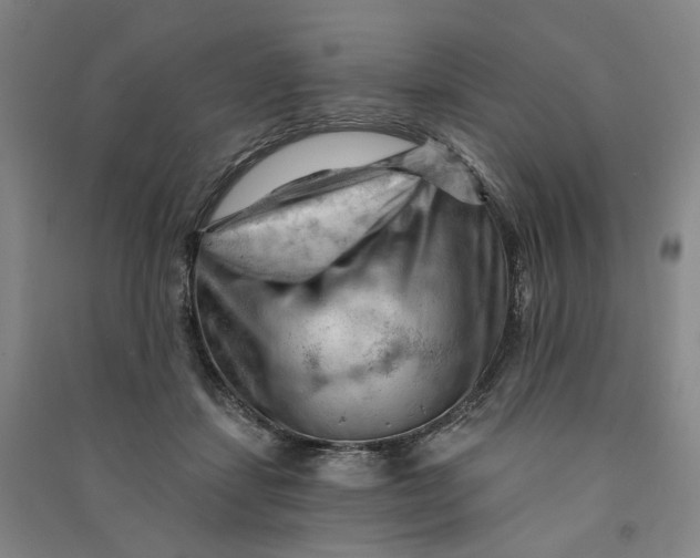 X0000090890459200708171709