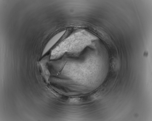 X0000090890461200708171709