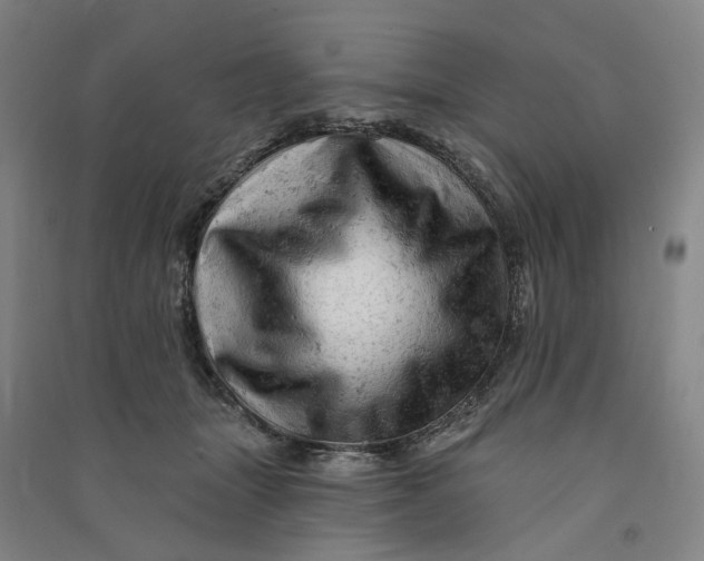 X0000090890463200708171709