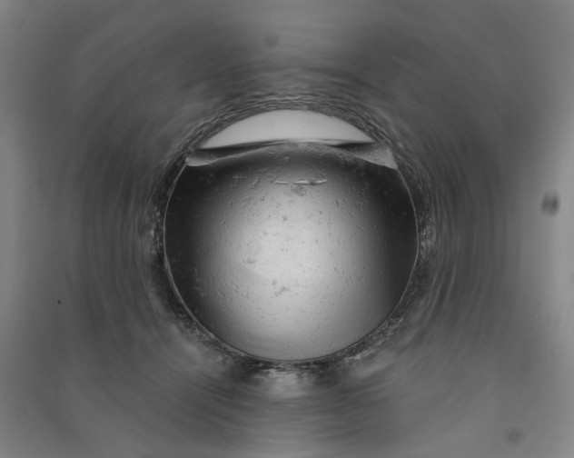 X0000090890464200708171709