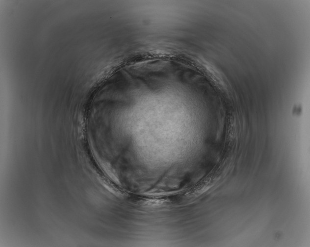 X0000090890465200708171709