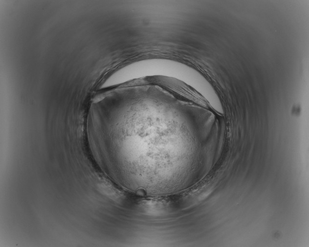 X0000090890466200708171709