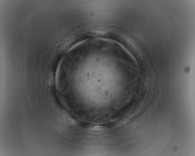 X0000090890467200708171709