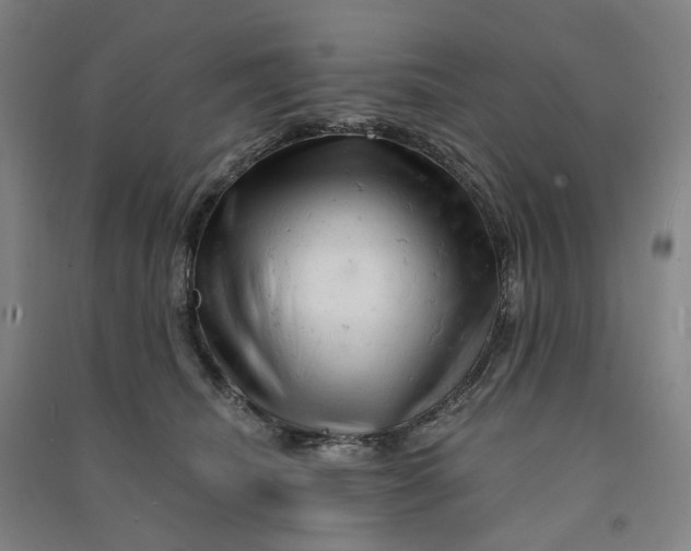 X0000090890468200708171709