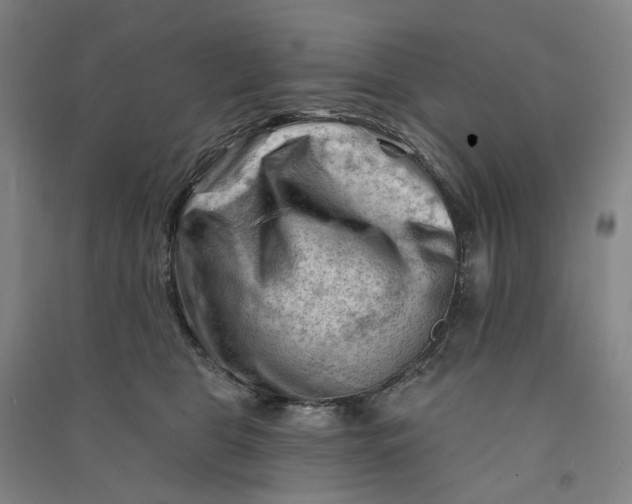 X0000090890469200708171709