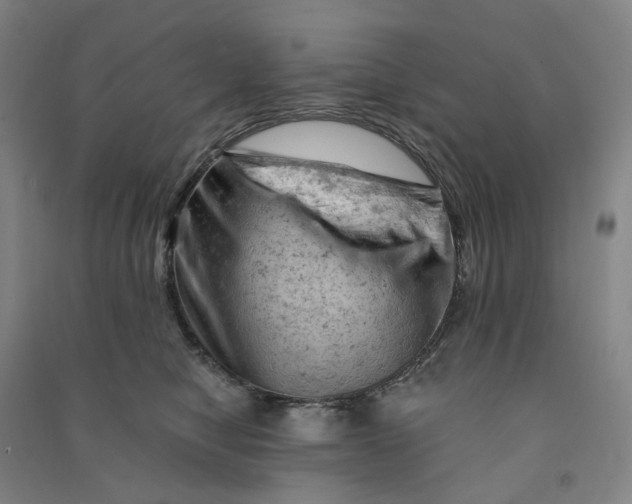 X0000090890470200708171709